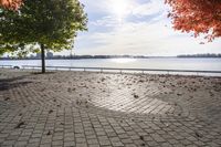 Autumn Day in Toronto, Ontario, Canada