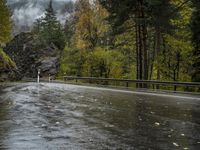 a wet road is shown in a wooded area with mountains in the background on a rainy day