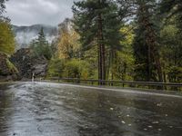 a wet road is shown in a wooded area with mountains in the background on a rainy day