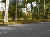 an asphalt paved road in a forest with tall trees lining it's sides and two men on motor bikes walking across the street