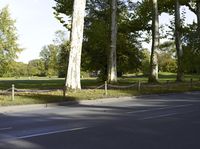 an asphalt paved road in a forest with tall trees lining it's sides and two men on motor bikes walking across the street