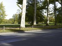 an asphalt paved road in a forest with tall trees lining it's sides and two men on motor bikes walking across the street