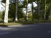 an asphalt paved road in a forest with tall trees lining it's sides and two men on motor bikes walking across the street