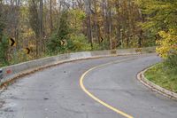Autumn Forest Road with Yellow Leaves