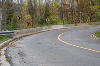 Autumn Forest Road with Yellow Leaves