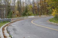 Autumn Forest Road with Yellow Leaves