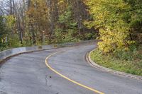 Autumn Forest Road with Yellow Leaves