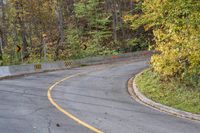 Autumn Forest Road with Yellow Leaves
