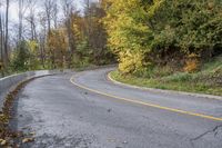 Autumn Forest Road with Yellow Leaves