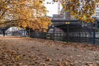 Autumn in Berlin, Germany