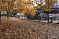 Autumn in Berlin, Germany