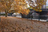 Autumn in Berlin, Germany