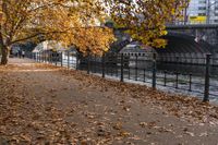 Autumn in Berlin, Germany