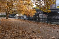 Autumn in Berlin, Germany