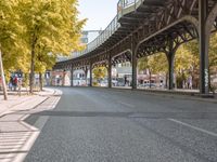 Autumn in Berlin: Yellow Road Surface and Fall Foliage