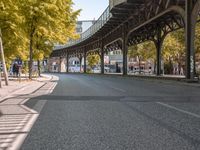 Autumn in Berlin: Yellow Road Surface and Fall Foliage