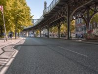 Autumn in Berlin: Yellow Road Surface and Fall Foliage