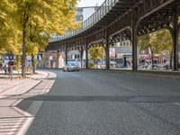 Autumn in Berlin: Yellow Road Surface and Fall Foliage