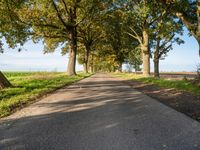 Autumn Landscape on Asphalt Road in Berlin, Germany