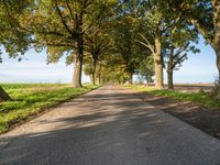 Autumn Landscape on Asphalt Road in Berlin, Germany