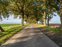 Autumn Landscape on Asphalt Road in Berlin, Germany