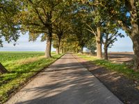 Autumn Landscape on Asphalt Road in Berlin, Germany