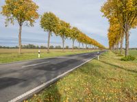 a long street with yellow trees lining it and some cars traveling along the side of the road