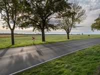 Autumn Landscape in Berlin: Asphalt Road 001