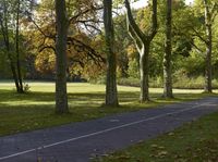 Autumn Landscape in Berlin: Forest Path