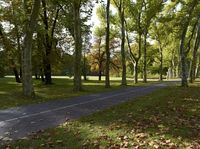 Autumn Landscape in Berlin: Forest Path