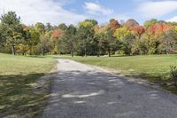 Autumn Landscape in Canada, Ontario: A Dirt Road View