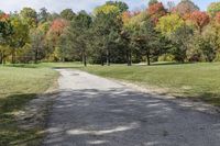 Autumn Landscape in Canada, Ontario: A Dirt Road View