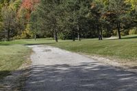 Autumn Landscape in Canada, Ontario: A Dirt Road View