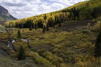 many yellow trees are in a mountain forest with a river running through them that leads into a valley