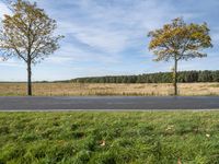 two trees with the road in front of them that has fallen over while a person sits on a grass field