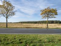 two trees with the road in front of them that has fallen over while a person sits on a grass field