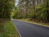 Autumn Landscape in Germany: Forest Road