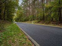 Autumn Landscape in Germany: Forest Road
