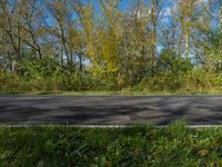 Autumn Landscape in Germany: Trees and Fields