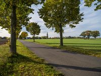 Autumn Landscape in Germany: Yellow Leaves and Lush Vegetation