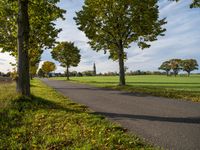 Autumn Landscape in Germany: Yellow Leaves and Lush Vegetation