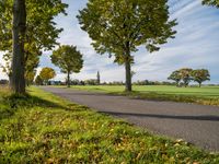 Autumn Landscape in Germany: Yellow Leaves and Lush Vegetation