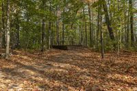 Autumn Landscape in Ontario Forest, Toronto