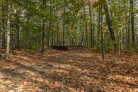 Autumn Landscape in Ontario Forest, Toronto