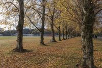 Autumn Landscape for Park Recreational Activities