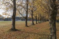 Autumn Landscape for Park Recreational Activities