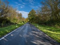 Autumn Landscape Road in Berlin, Germany