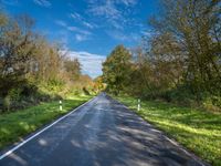 Autumn Landscape Road in Berlin, Germany