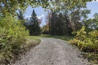 Autumn Landscape in Toronto, Ontario, Canada