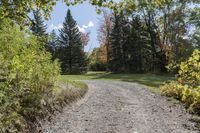 Autumn Landscape in Toronto, Ontario, Canada